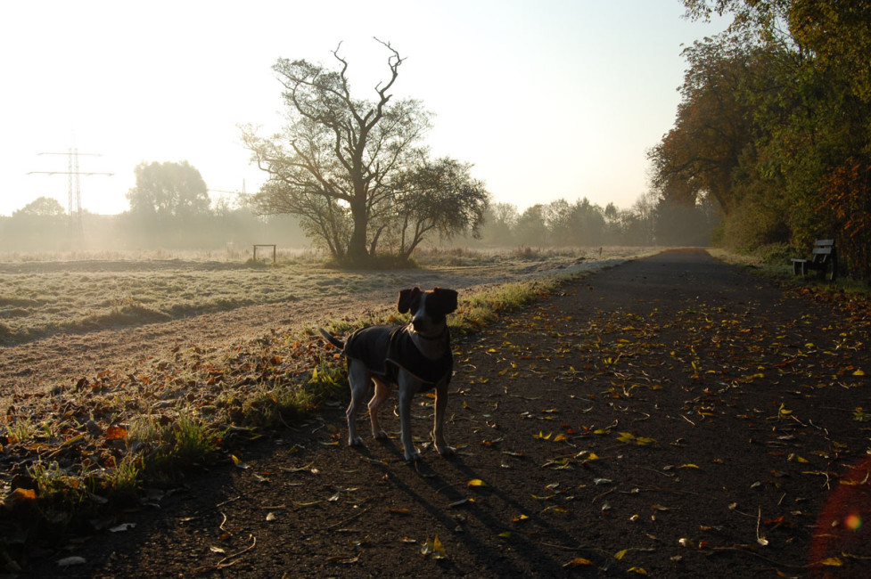 munito 8 20120119 1560383550 munito 8 20120119 1560383550