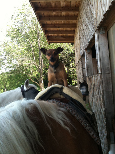 oskar 1 20120103 1084613435