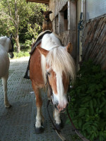 oskar 2 20120103 1317607285 oskar 2 20120103 1317607285