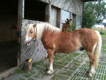 oskar 5 20120103 1089652635 oskar 5 20120103 1089652635