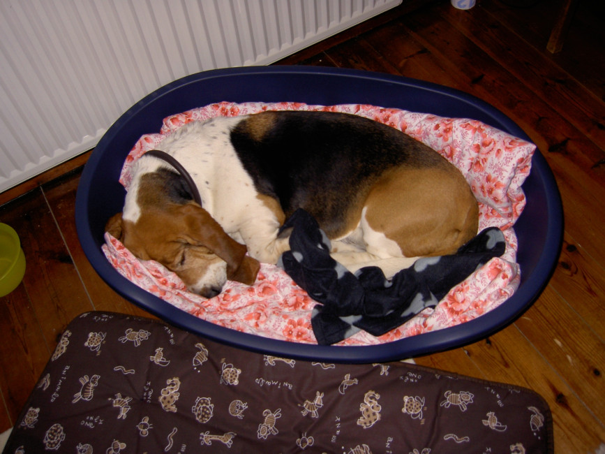 otto 20101115 1189797419 otto 20101115 1189797419