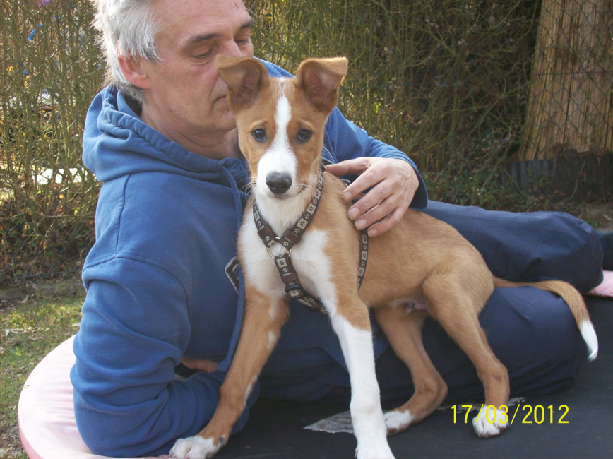 pauly 1 20120330 1491102837