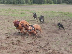 amy 1 20110927 1869116631 amy 1 20110927 1869116631