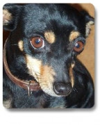betty 20110228 1763676812 betty 20110228 1763676812