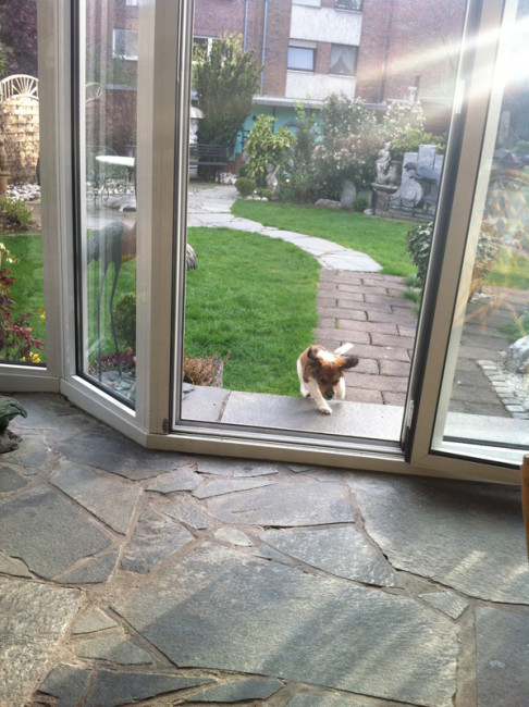 bibi 4 20110514 1219478928 bibi 4 20110514 1219478928