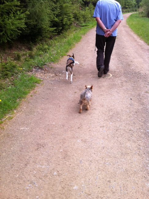 bibi 6 20110514 1807534293 bibi 6 20110514 1807534293