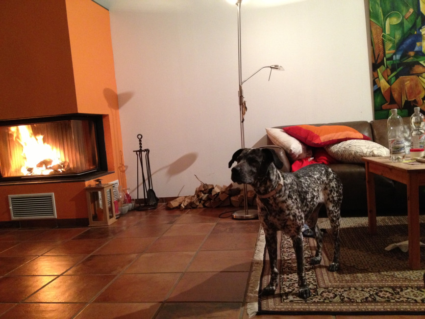 pepsy 1 20121228 1984310846