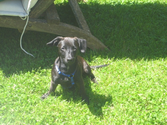 ramona 3 20110628 1305892951 ramona 3 20110628 1305892951