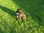 ronja 1 20120203 1966098464 ronja 1 20120203 1966098464