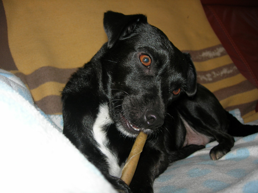 ronja 2 20120203 1613858358 ronja 2 20120203 1613858358