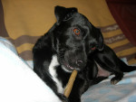 ronja 2 20120203 1613858358 ronja 2 20120203 1613858358