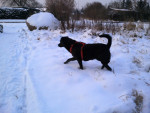 ronja 5 20120203 1012939643 ronja 5 20120203 1012939643