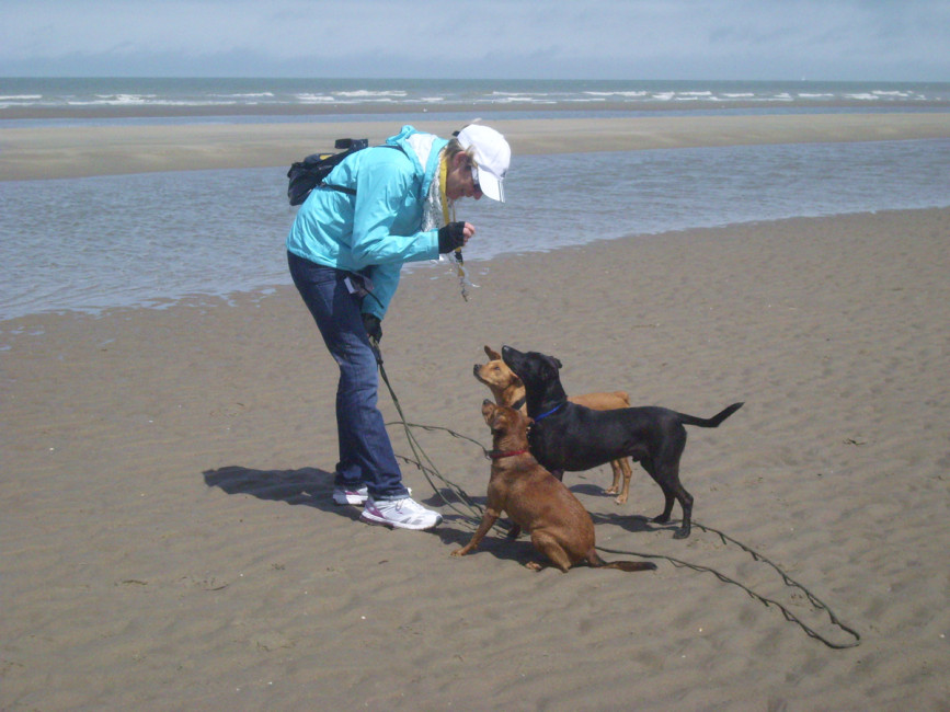 ronni 3 20120703 1863963821 ronni 3 20120703 1863963821