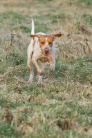 roxy 1 20120304 1306390179 roxy 1 20120304 1306390179