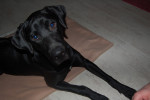 winston 10 20121214 1608904980 winston 10 20121214 1608904980