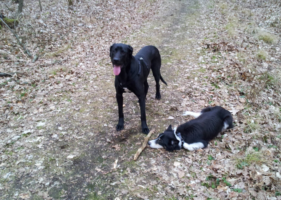 winston 1 20121214 1572165559