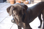 winston 9 20121214 1490260462 winston 9 20121214 1490260462