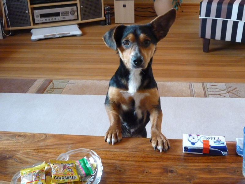 cheeper 20110404 1581986337 cheeper 20110404 1581986337