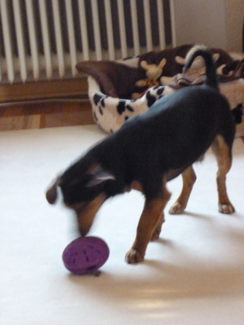 cheeper 20110404 1756298347 cheeper 20110404 1756298347