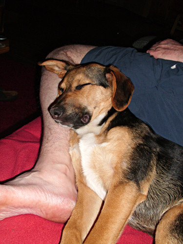 chopin 20110421 1329315876 chopin 20110421 1329315876