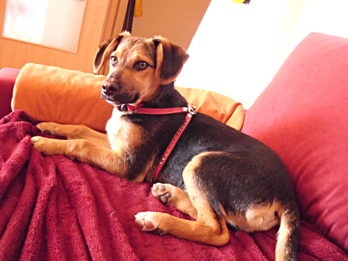 chopin 20110421 1403142884 chopin 20110421 1403142884