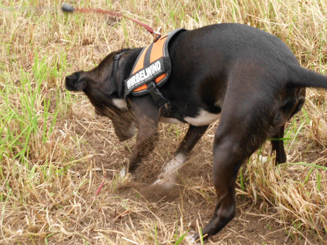 crissi 2 20110707 1977594804 crissi 2 20110707 1977594804