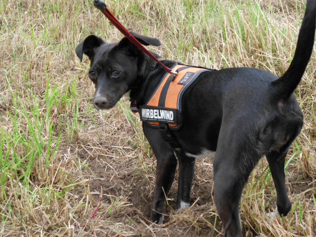 crissi 3 20110707 1406249285 crissi 3 20110707 1406249285