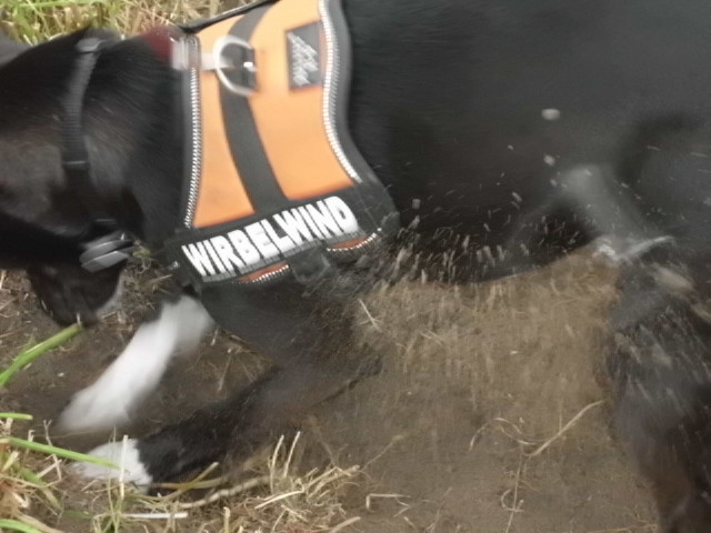 crissi 4 20110707 1131205490 crissi 4 20110707 1131205490