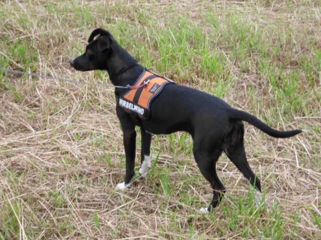 crissi 5 20110707 1360360258 crissi 5 20110707 1360360258