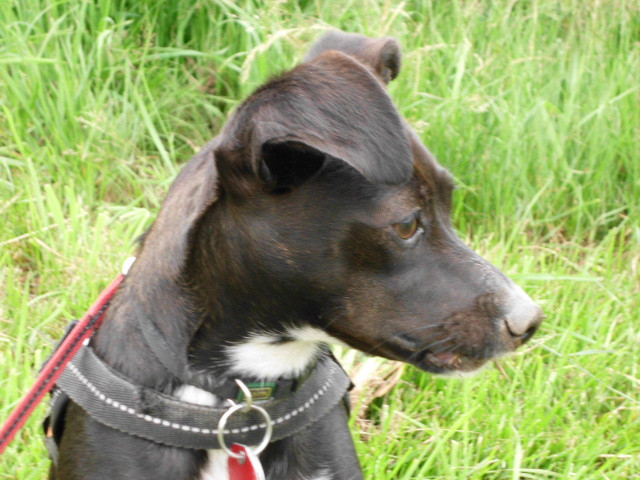 crissi 6 20110707 1296498854 crissi 6 20110707 1296498854