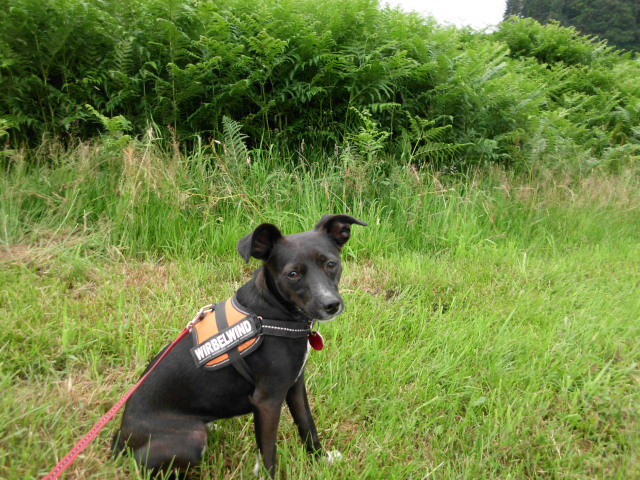 crissi 7 20110707 1238005340 crissi 7 20110707 1238005340