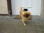 jennie und shela 10 20111016 1950136072