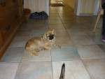 jennie und shela 5 20111016 1717988826
