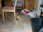 jennie und shela 6 20111016 1821229660