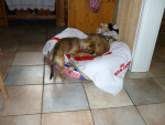 jennie und shela 7 20111016 1155730139
