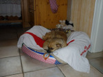 jennie und shela 8 20111016 1953651419