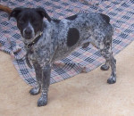 spot 20110414 1021289478