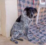 spot 20110414 19233219708