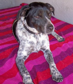 spot 20110414 20061500306