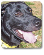 winston 1 20111120 1421303488