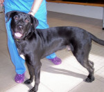 winston 2 20111120 1869980307