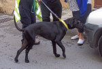 winston 3 20111120 1659385036