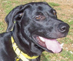 winston 4 20111120 1001395513