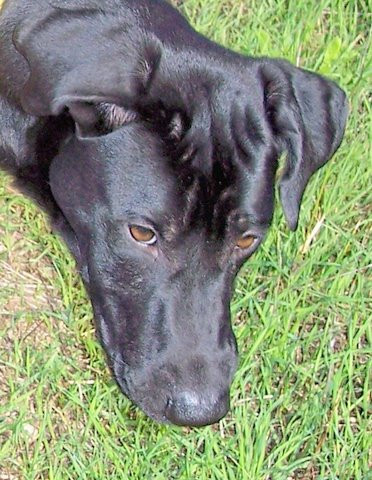winston 5 20111120 1410222046