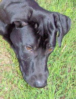 winston 5 20111120 1410222046