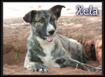 xela 10 20160229 1634732119