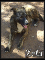 xela 2 20160229 1797712010