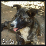 xela 3 20160229 1721298153