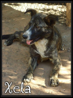 xela 5 20160229 1915198887