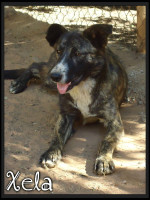 xela 6 20160229 1952933852